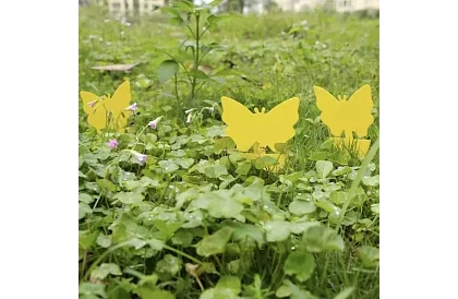 Lapače na hmyz Repest – 12 kusů