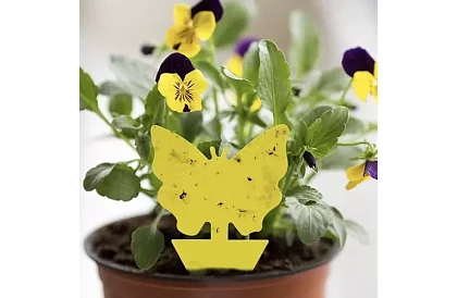 Lapače na hmyz Repest – 12 kusů