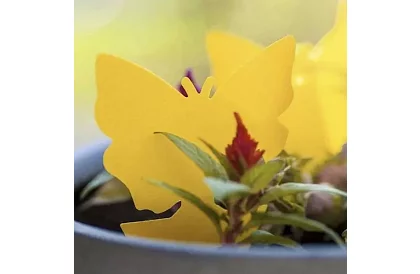 Lapače na hmyz Repest – 12 kusů