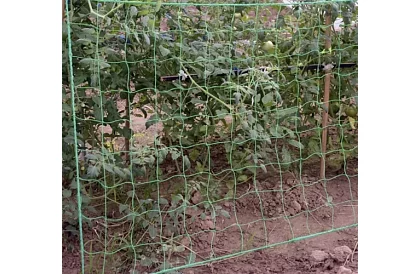 Síťová podpora pro rostliny 2x20 m