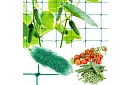 Síťová podpora pro rostliny 2x20 m