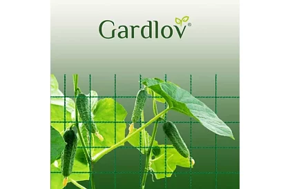 Síťová podpora pro rostliny 2x10 m