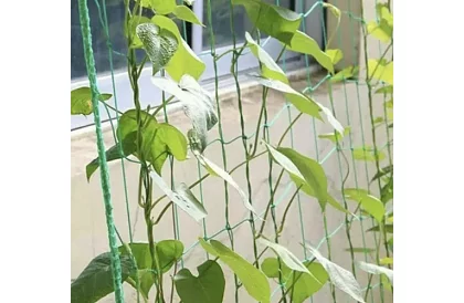 Síťová podpora pro rostliny 2x10 m