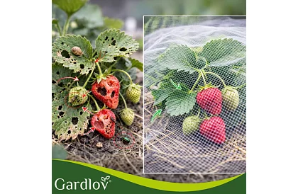 Zahradní ochranná síť 3 × 6 m