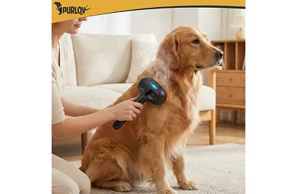 Elektrický parní vyčesávací kartáč – dobíjecí