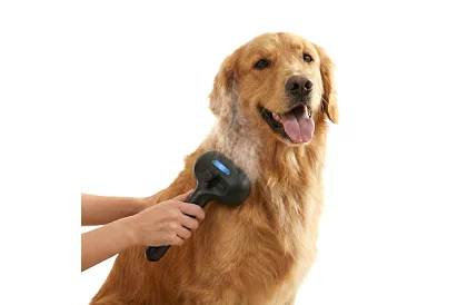 Elektrický parní vyčesávací kartáč – dobíjecí