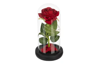 Věčná růže ve skle s LED osvětlením