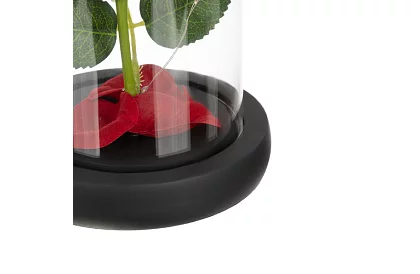Věčná růže ve skle s LED osvětlením