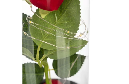 Věčná růže ve skle s LED osvětlením