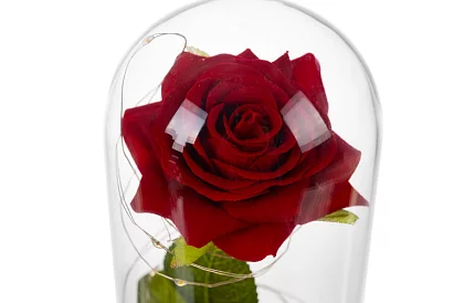 Věčná růže ve skle s LED osvětlením