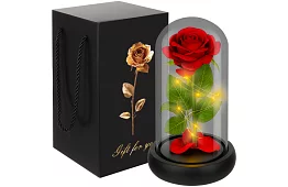 Věčná růže ve skle s LED osvětlením