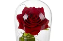 Věčná růže ve skle s LED osvětlením