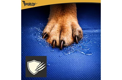 Skládací bazén pro psa 600 l - 160 x 30 cm