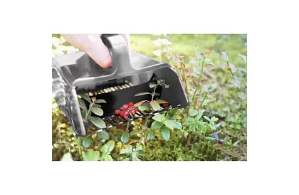 Hřeben na borůvky – ruční sběrač ovoce