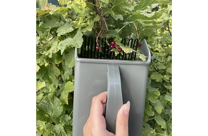 Hřeben na borůvky – ruční sběrač ovoce