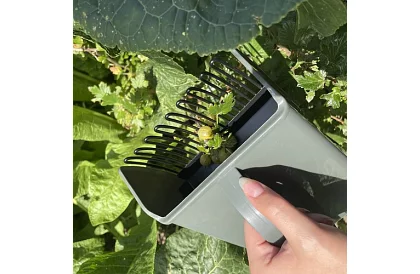 Hřeben na borůvky – ruční sběrač ovoce