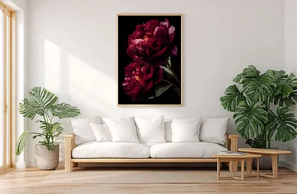 Sametová krása - obraz - Pivoňky v temně elegantním stylu 44