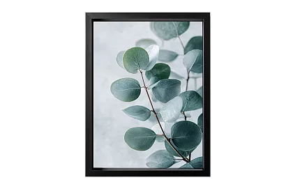 Jemná příroda - obraz - Eukalyptus v minimalistickém stylu 54