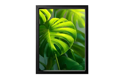 Tropický list - obraz - Monstera v moderním přírodním stylu 45