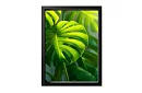 Tropický list - obraz - Monstera v moderním přírodním stylu 45