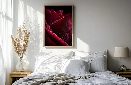 Sametový detail - obraz - Makro růže s kapkami vody 47