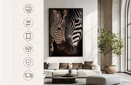 Blízkost přírody - obraz - Zebra s mládětem v detailu 55