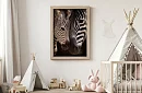 Blízkost přírody - obraz - Zebra s mládětem v detailu 55