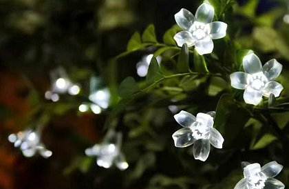 Dekorativní venkovní solární řetěz s 40 LED – Lights Flowers