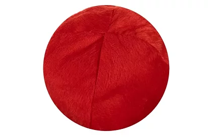 Sobí parohy a nos – dekorace pro váš vůz