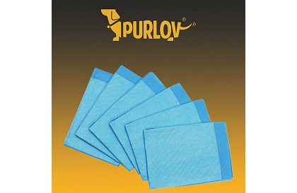 Absorpční hygienická vložka - sada 50 ks.