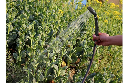 Přenosná cestovní - kempingová sprcha