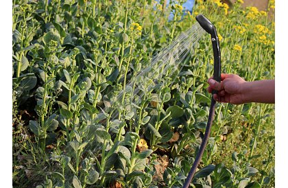 Přenosná cestovní - kempingová sprcha