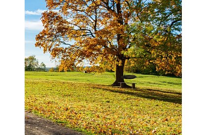 Houpačka - čapí hnízdo černá - 100 cm / 150 kg
