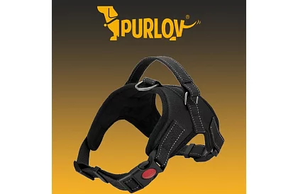 Beztlaký postroj pro psy - Velikost L