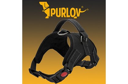 Beztlaký postroj pro psy - Velikost M