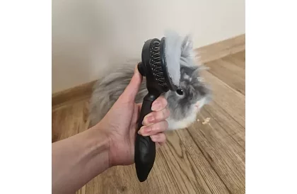 Samočisticí vyčesávací kartáč na srst