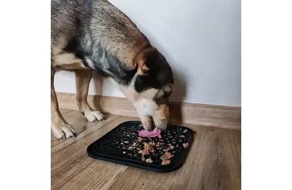 Antistresová podložka pro psy