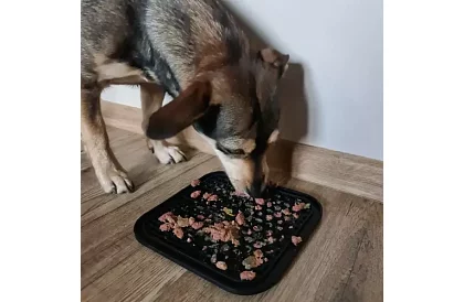 Antistresová podložka pro psy