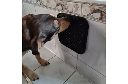 Antistresová podložka pro psy