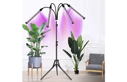 LED lampa pro růst rostlin Quattro – s časovačem a dálkovým ovládáním