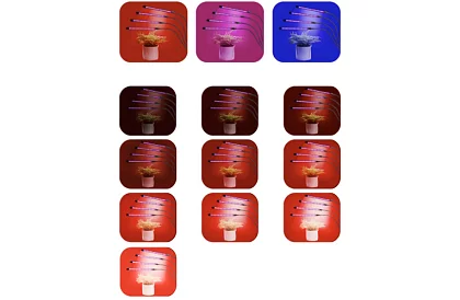 LED lampa pro růst rostlin Quattro – s časovačem a dálkovým ovládáním