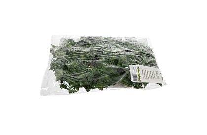 Umělý břečťan – girlanda 50,4 m