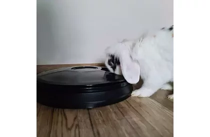 Automatický dávkovač krmiva s časovačem