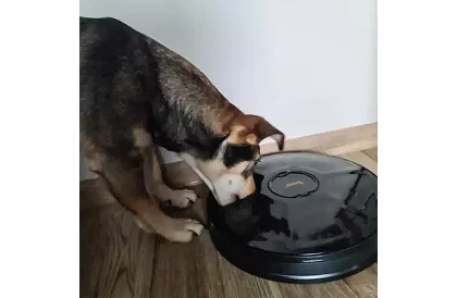 Automatický dávkovač krmiva s časovačem