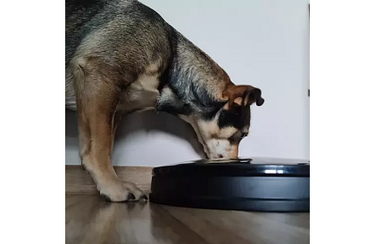 Automatický dávkovač krmiva s časovačem