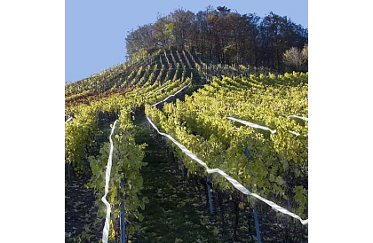 Holografická páska k odstrašení ptáků - 80 metrů