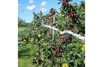 Holografická páska k odstrašení ptáků - 80 metrů