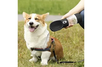 Cestovní láhev na vodu pro psy s miskou na pamlsky