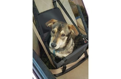 Přepravní taška vašeho mazlíčka na sedadlo auta