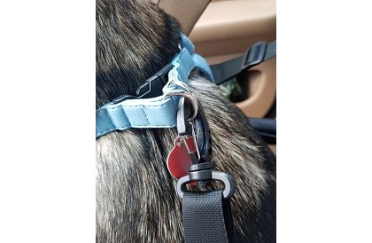 Přepravní taška vašeho mazlíčka na sedadlo auta